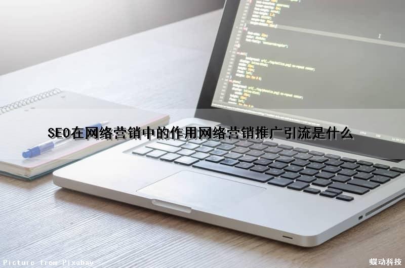 SEO在网络营销中的作用（网络营销推广引流是什么）