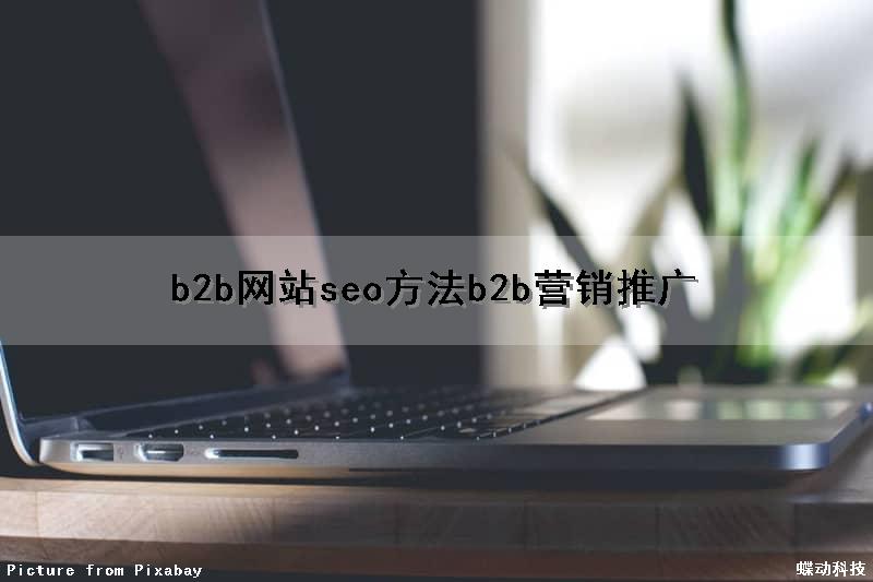 b2b网站seo方法(b2b营销推广)