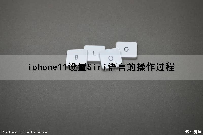 iphone11设置Siri语言的操作过程