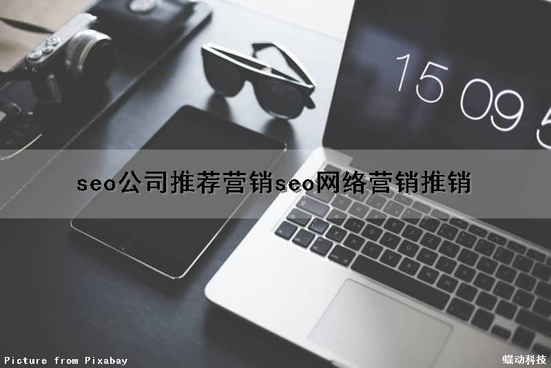 seo公司推荐营销(seo网络营销推销)