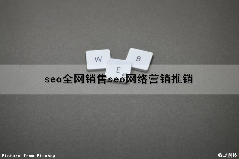 seo全网销售(seo网络营销推销)