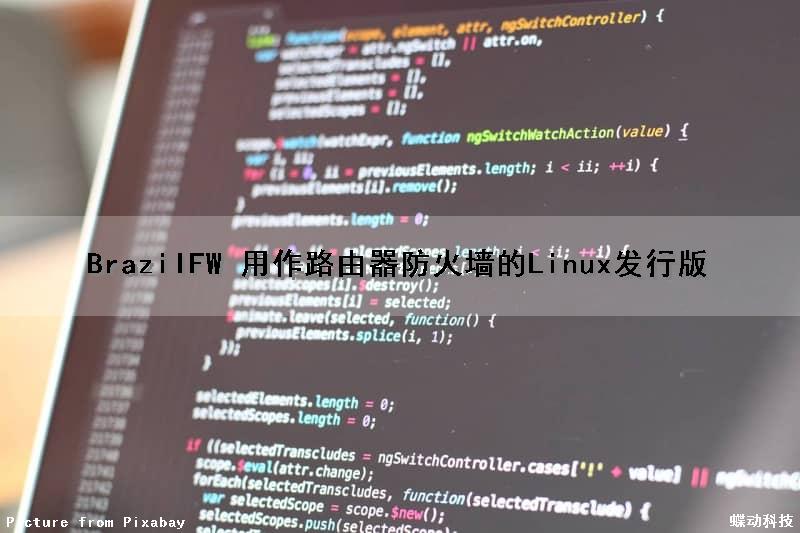 BrazilFW 用作路由器防火墙的Linux发行版（linux防火墙开放ip）