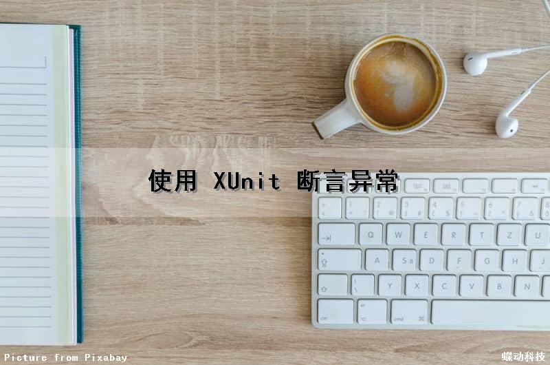 使用 XUnit 断言异常（断言使用错误）