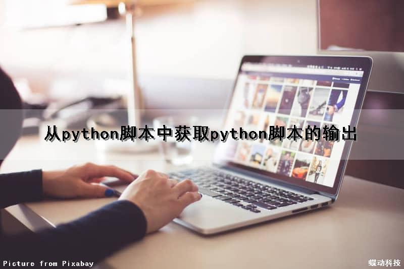 从python脚本中获取python脚本的输出