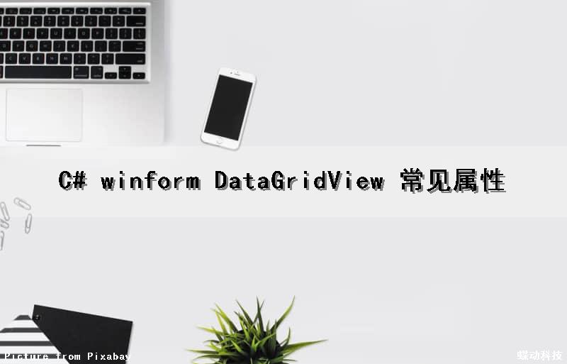 C# winform DataGridView 常见属性