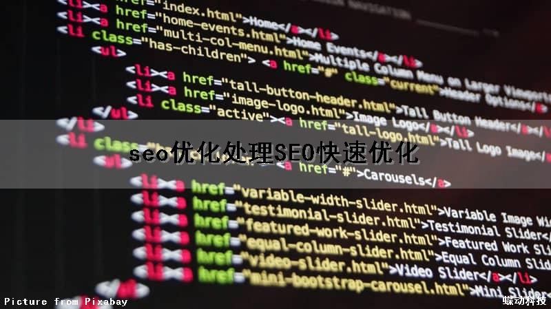 seo优化处理(SEO快速优化)