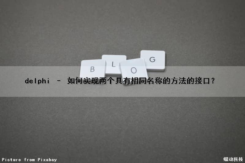 delphi – 如何实现两个具有相同名称的方法的接口？