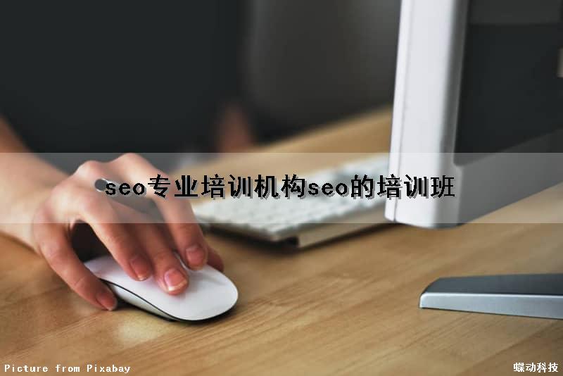 seo专业培训机构(seo的培训班)