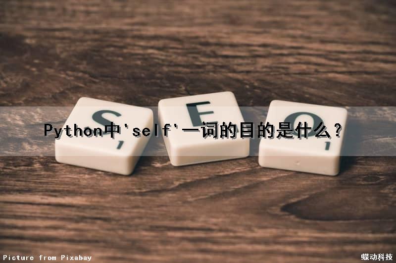 Python中'self'一词的目的是什么？（self在python中指什么）