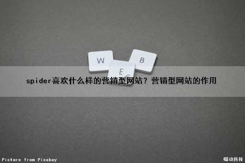 spider喜欢什么样的营销型网站？营销型网站的作用