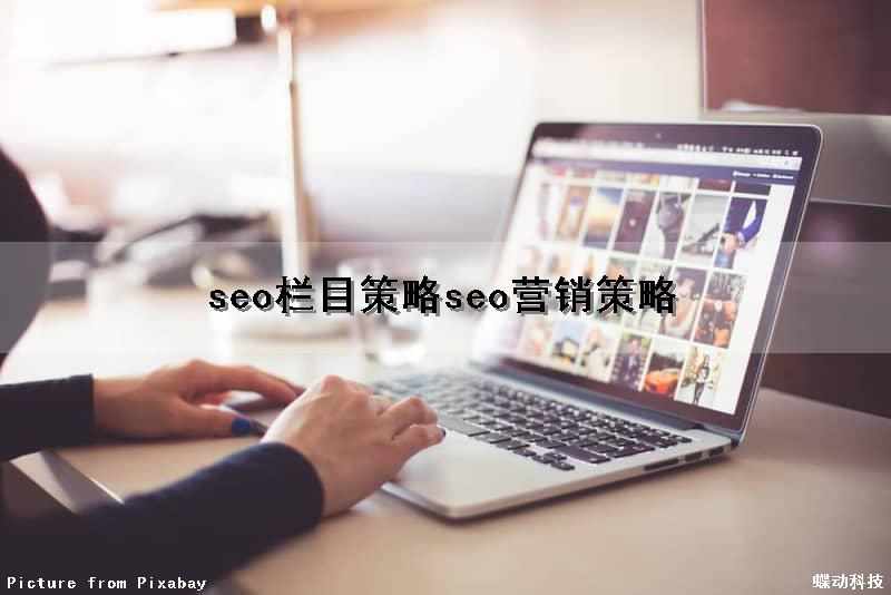 seo栏目策略(seo营销策略)