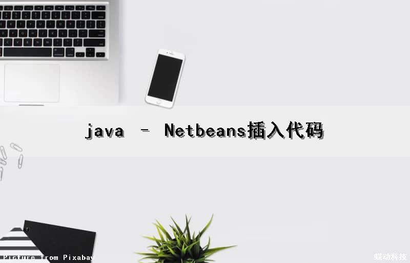 java – Netbeans插入代码