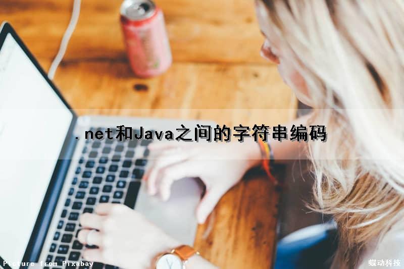 .net和Java之间的字符串编码