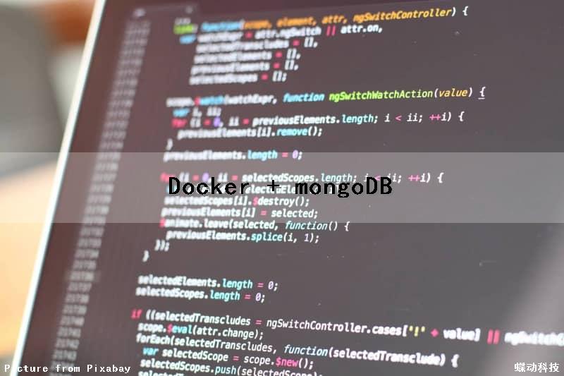 Docker + mongoDB