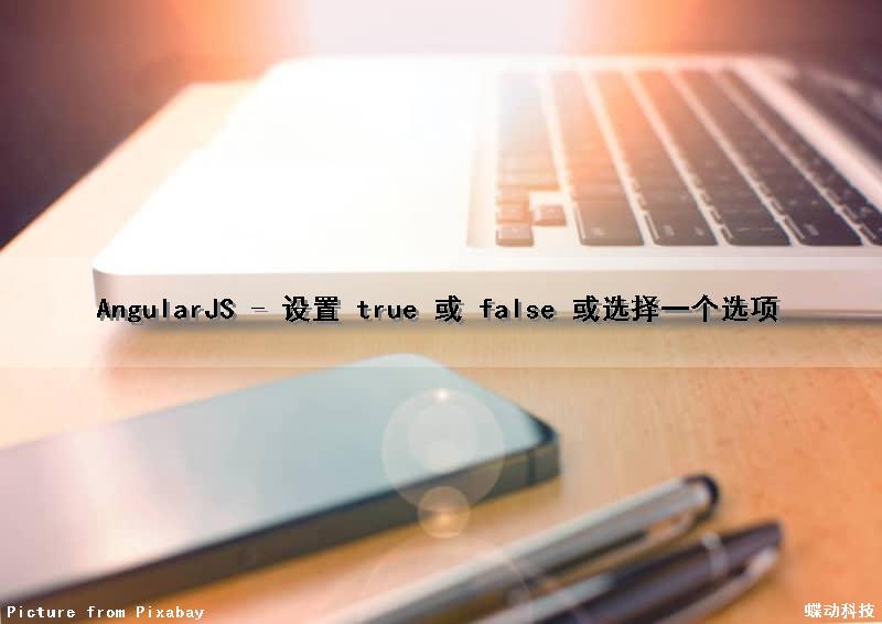 AngularJS - 设置 true 或 false 或选择一个选项