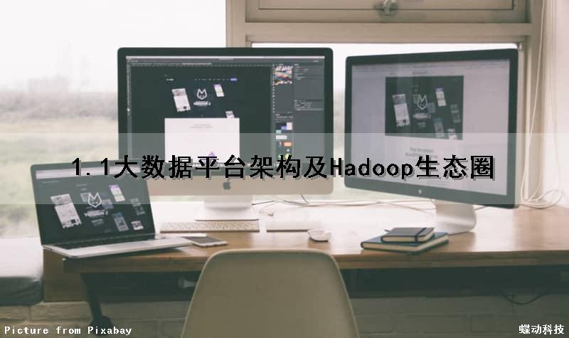 1.1大数据平台架构及Hadoop生态圈