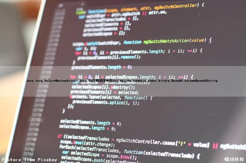 java.lang.NoSuchMethodError：Java EE应用程序中的org.apache.commons.codec.binary.Base64.encodeBase64String（）