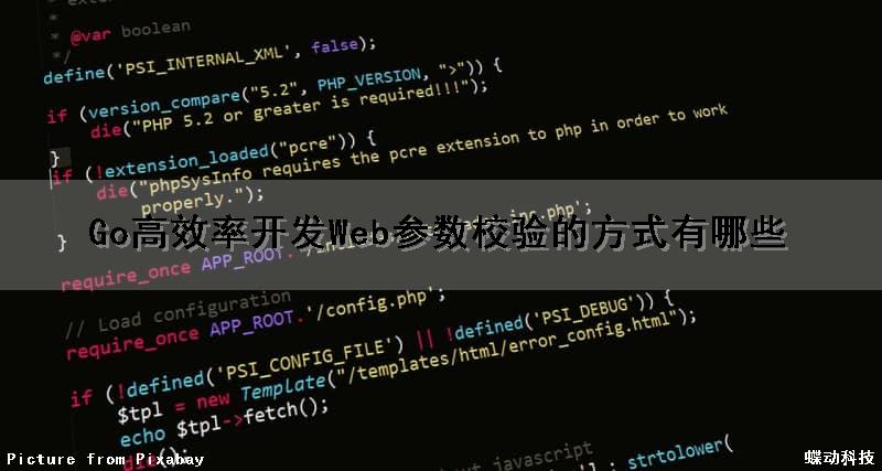 Go高效率开发Web参数校验的方式有哪些（go 参数校验）