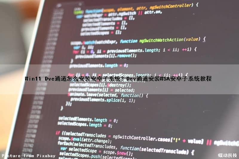 Win11 Dve通道怎么安装安卓子系统？Dev通道安装WSA（安卓子系统）教程