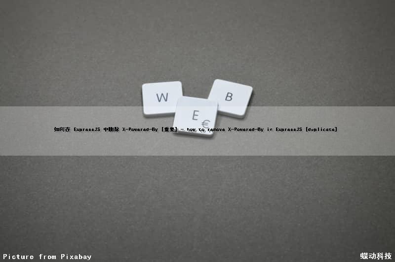 如何在 ExpressJS 中删除 X-Powered-By [重复] - how to remove X-Powered-By in ExpressJS [duplicate]