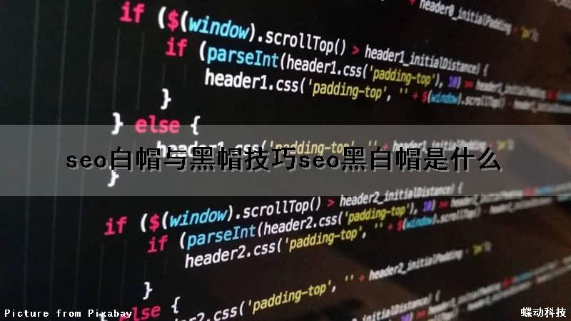 seo白帽与黑帽技巧(seo黑白帽是什么)