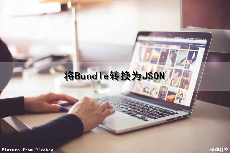 将Bundle转换为JSON（json转blob）