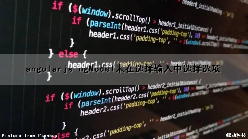 angularjs ngModel未在选择输入中选择选项