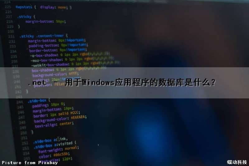 .net – 用于Windows应用程序的数据库是什么？