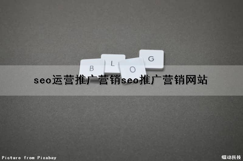 seo运营推广营销(seo推广营销网站)