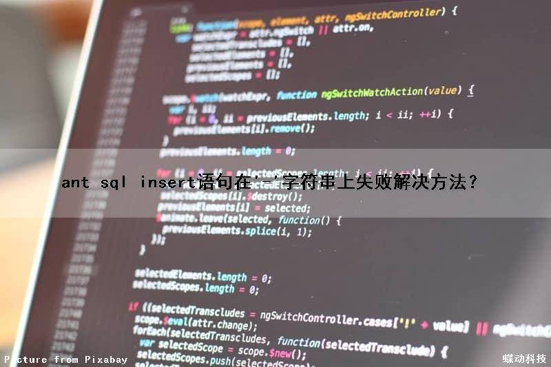 ant sql insert语句在'-'字符串上失败解决方法？