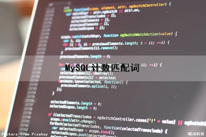 MySQL计数匹配词