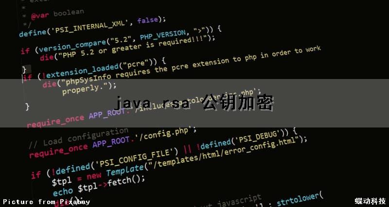 java rsa 公钥加密