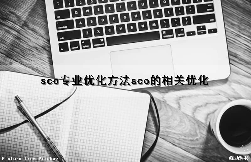 seo专业优化方法(seo的相关优化)