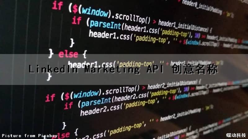 LinkedIn Marketing API 创意名称（linkedin campaign）