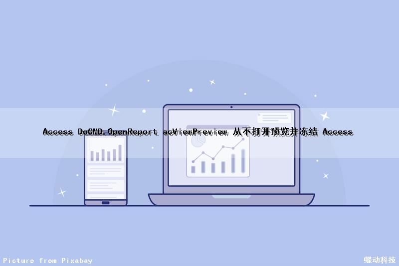Access DoCMD.OpenReport acViewPreview 从不打开预览并冻结 Access