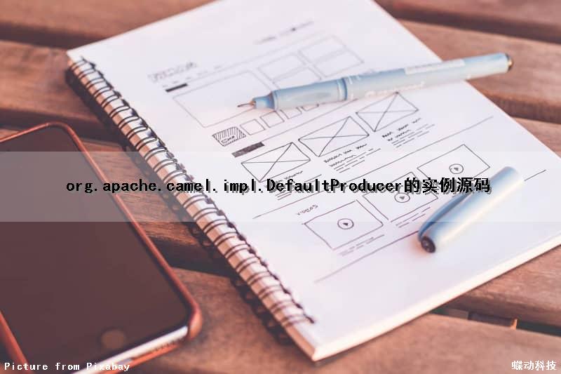 org.apache.camel.impl.DefaultProducer的实例源码