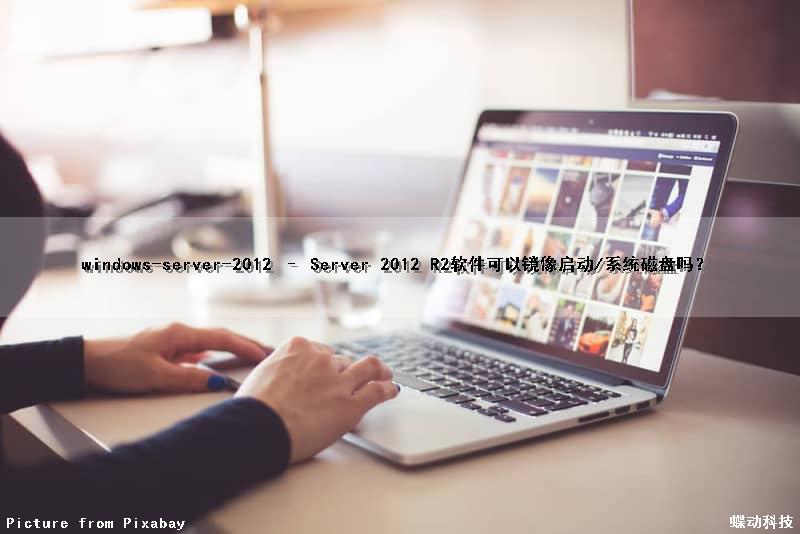 windows-server-2012 – Server 2012 R2软件可以镜像启动/系统磁盘吗？