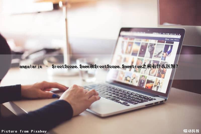 angularjs – $rootScope.$new()和$rootScope.$new(true)之间有什么区别？