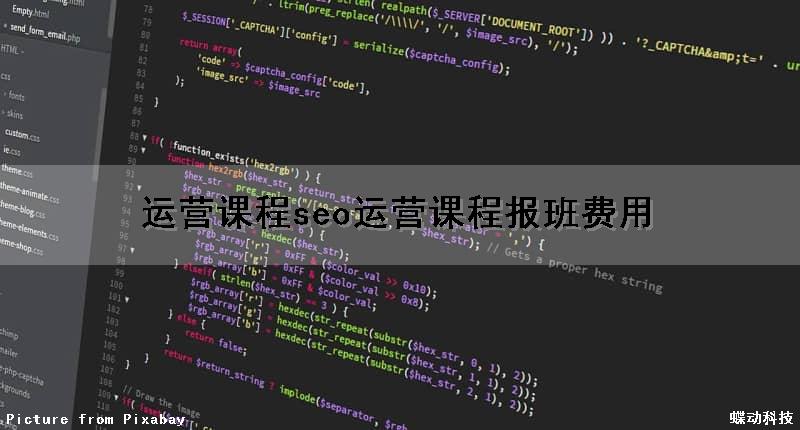 运营课程seo(运营课程报班费用)（运营课程有用吗）