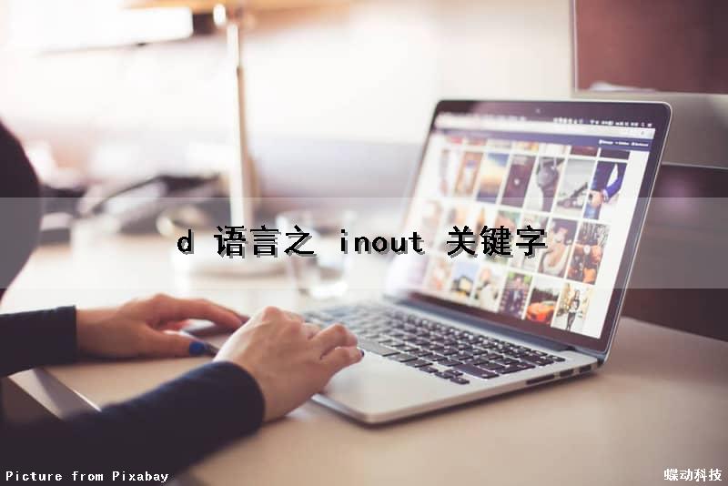 d 语言之 inout 关键字