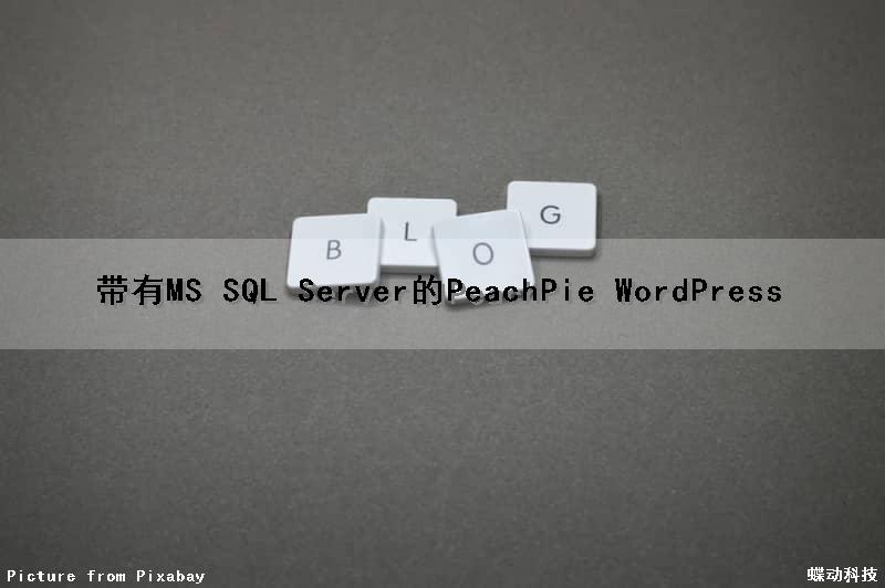 带有MS SQL Server的PeachPie WordPress（ms-sql）