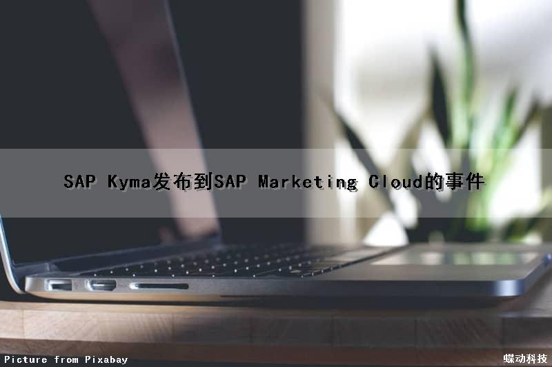 SAP Kyma发布到SAP Marketing Cloud的事件