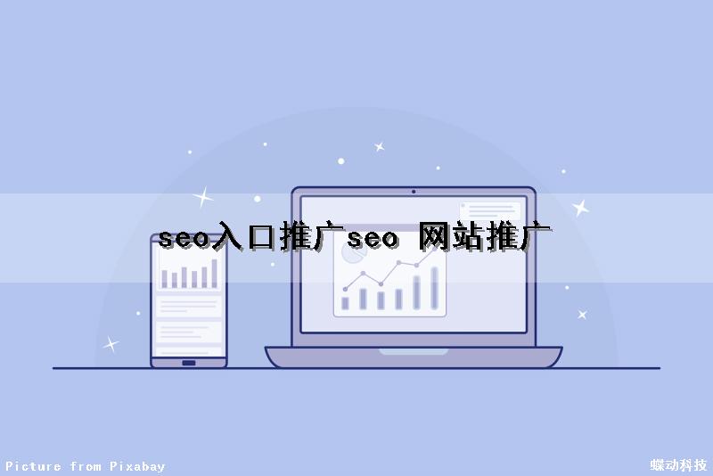 seo入口推广(seo 网站推广)（seo网站首页推广）