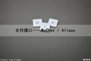 支付接口——WeChat / Alipay（微信支付宝官方支付接口）