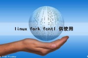 linux fork() fcntl() 供使用（linux fork vfork）