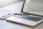 实时查看php进程（实时查看php进程数据）